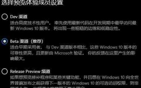 Win11预览体验成员设置选项怎么选 Win11预览体验成员设置选项介绍