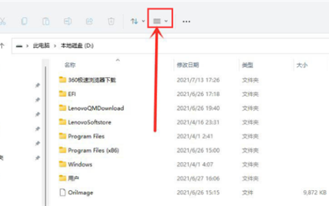 Win11隐藏文件显示方法