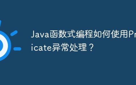 Java函数式编程如何使用Predicate异常处理？