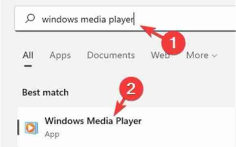 MOV视频文件怎么打开 Win11系统打开MOV视频文件的方法讲解