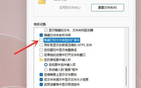 Win11怎么显示文件后缀名 Win11显示文件后缀名操作方法