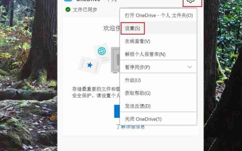 OneDrive个人保管库怎么自动锁定 win11系统自动锁定OneDrive个人保管库的方法教程
