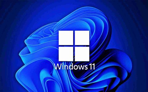 Win11怎么看系统是否激活 Win11查看系统是否激活的方法