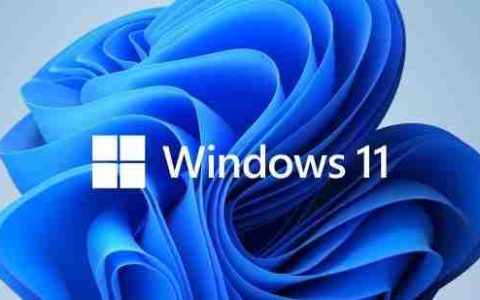 win11怎么设置滚动条 win11系统启用或禁用始终显示滚动条的方法教程
