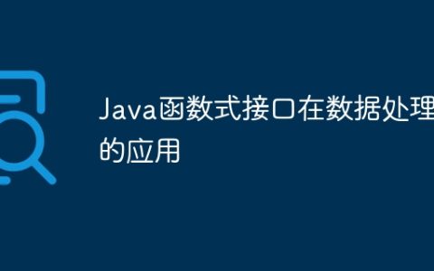 Java函数式接口在数据处理中的应用