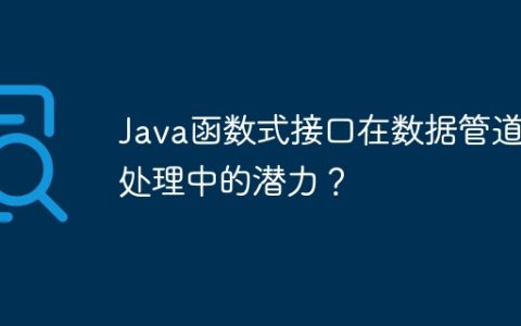 Java函数式接口在数据管道和处理中的潜力？