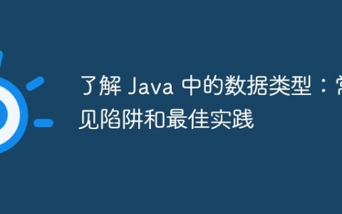 了解 Java 中的数据类型：常见陷阱和最佳实践