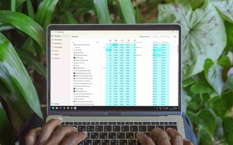 如何在Windows 11上更改任务管理器的实时更新速度