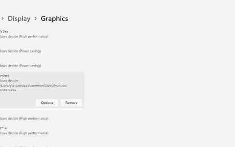 如何修复Windows 11 Sonic Frontiers全屏时崩溃