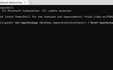 重置Windows 11设置应用程序的3种方法
