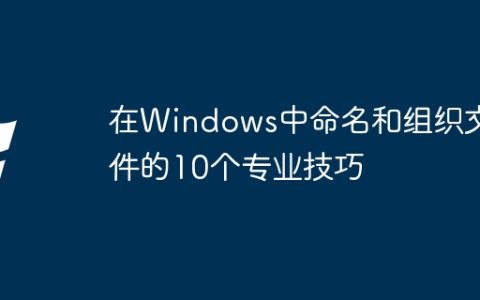 在Windows中命名和组织文件的10个专业技巧