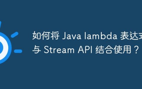 如何将 Java lambda 表达式与 Stream API 结合使用？