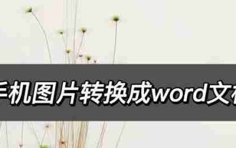 5种方法轻松查看Word文档（方便快捷的Word文档查看技巧）