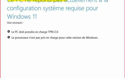 升级 Windows 11 24H2 时怎么绕过微软 TPM 2.0硬件检测?