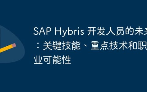 SAP Hybris 开发人员的未来：关键技能、重点技术和职业可能性