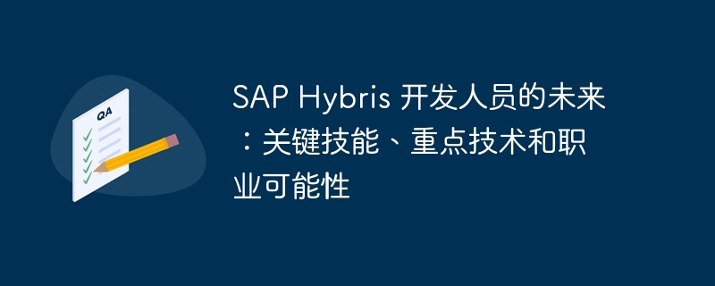 sap hybris 开发人员的未来:关键技能、重点技术和职业可能性