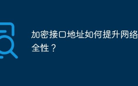 加密接口地址如何提升网络安全性？