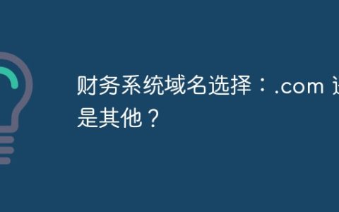 财务系统域名选择：.com 还是其他？