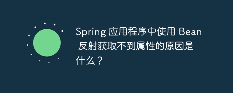 spring 应用程序中使用 bean 反射获取不到属性的原因是什么?