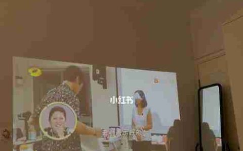 投影仪方向反了怎么办（解决投影仪方向反转问题的有效方法）