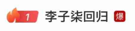 李子柒复更爆火,是一次公共影响力示范