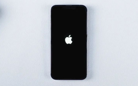 iPhone白苹果无法开机？怎么解决？速看！