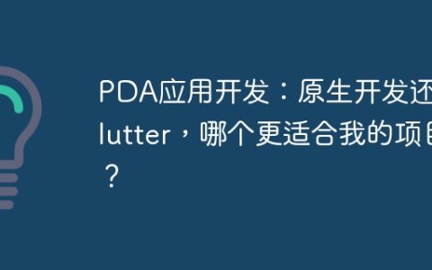 PDA应用开发：原生开发还是Flutter，哪个更适合我的项目？