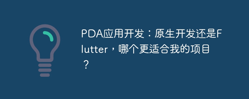 PDA应用开发:原生开发还是Flutter,哪个更适合我的项目?