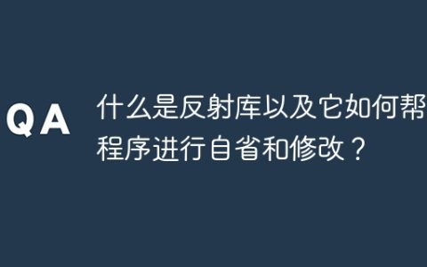什么是反射库以及它如何帮助程序进行自省和修改？