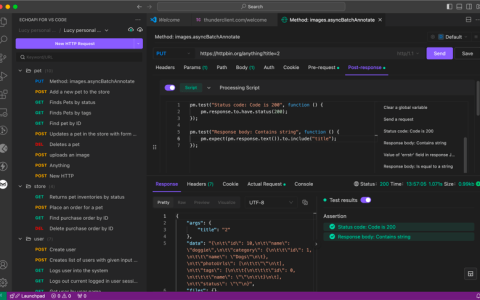 VS Code 使用 Thunder 客户端？停止！这是满足您的 API 测试需求的理想扩展