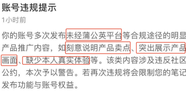 25年必须要知道的小红书平台趋势和4.0玩法!