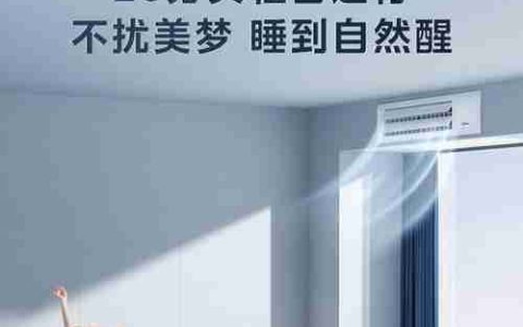 柜式空调与中央空调的优缺点对比（哪种空调适合您的需求）