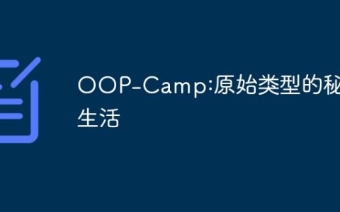 OOP-Camp:原始类型的秘密生活