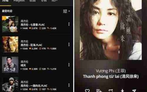 探寻最佳音乐播放器软件（发现您音乐世界的完美伴侣）