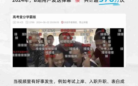 B站 2024 年度弹幕公布：“接”累计发送超 576 万次