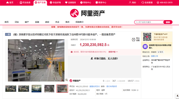 起拍价12.3亿元!柔宇显示名下资产流拍