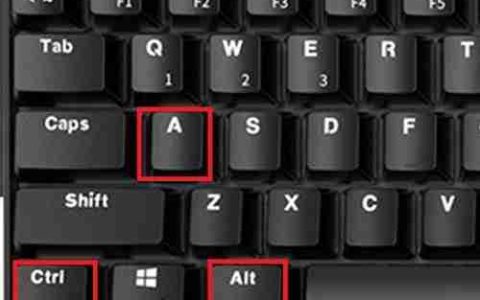 Win10区域截图快捷键是什么 Win10区域截图快捷键详细介绍