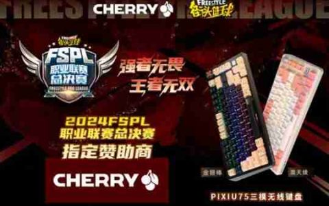 王者无双 CHERRY赞助2024FSPL职业联赛总决赛