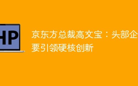 京东方总裁高文宝：头部企业要引领硬核创新