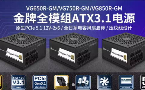 银昕推出 VANGUARD 系列金牌全模电源：支持 ATX 3.1 标准，配原生 12V-2×6 接口