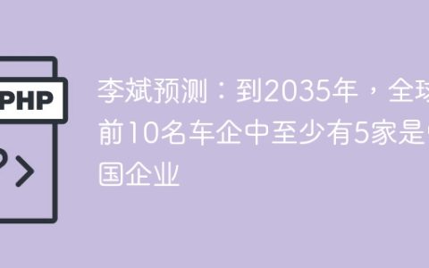 李斌预测：到2035年，全球前10名车企中至少有5家是中国企业