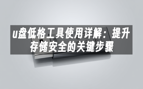 u盘低格工具使用详解：提升存储安全的关键步骤
