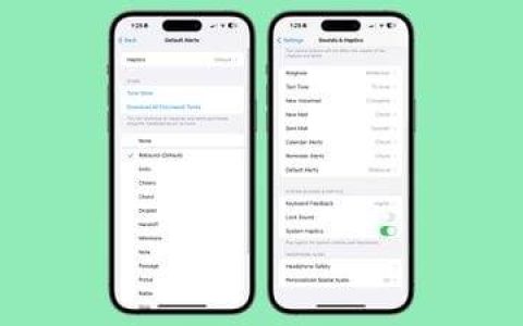 苹果手机更改 iPhone 的默认通知声音