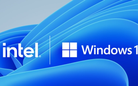 win11 word如何四分窗口 win11 word四分窗口教程