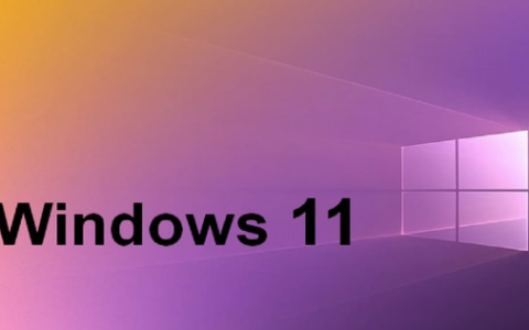 win11自带截图工具用不了怎么回事 win11自带截图工具用不了解决方法