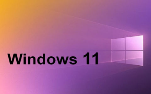 Win11如何截取长图 win11截取长图技巧