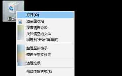 电脑文件删除后回收站没有怎么办(恢复误删文件的有效方法)