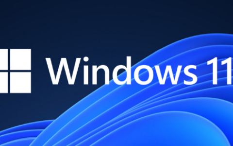 Win11如何打开Direct3D加速 Win11开启3D加速方法