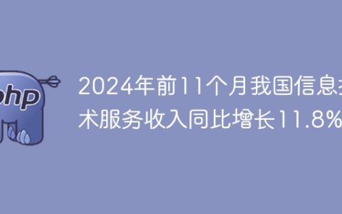 2024年前11个月我国信息技术服务收入同比增长11.8%