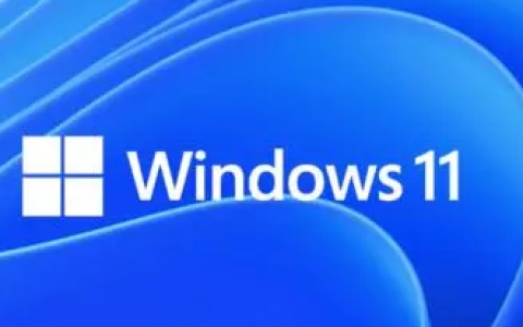 win11怎么调整缩放比例 win11缩放比例调整技巧